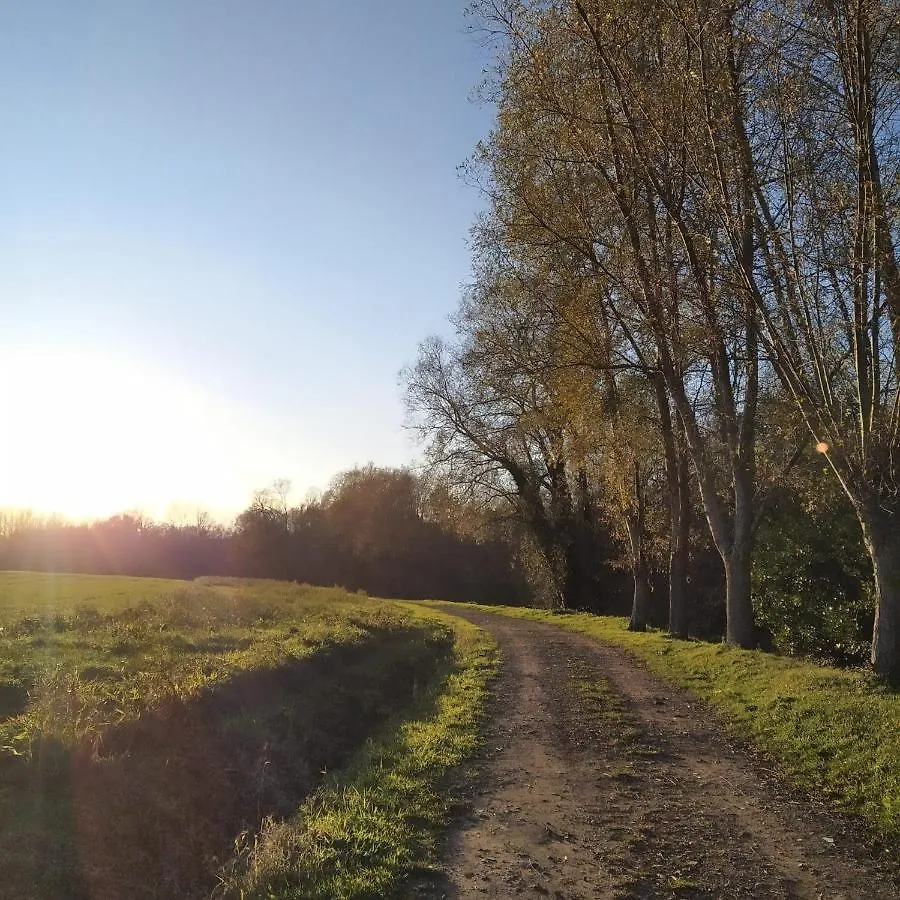 B&B Den Biesthoek Grimbergen